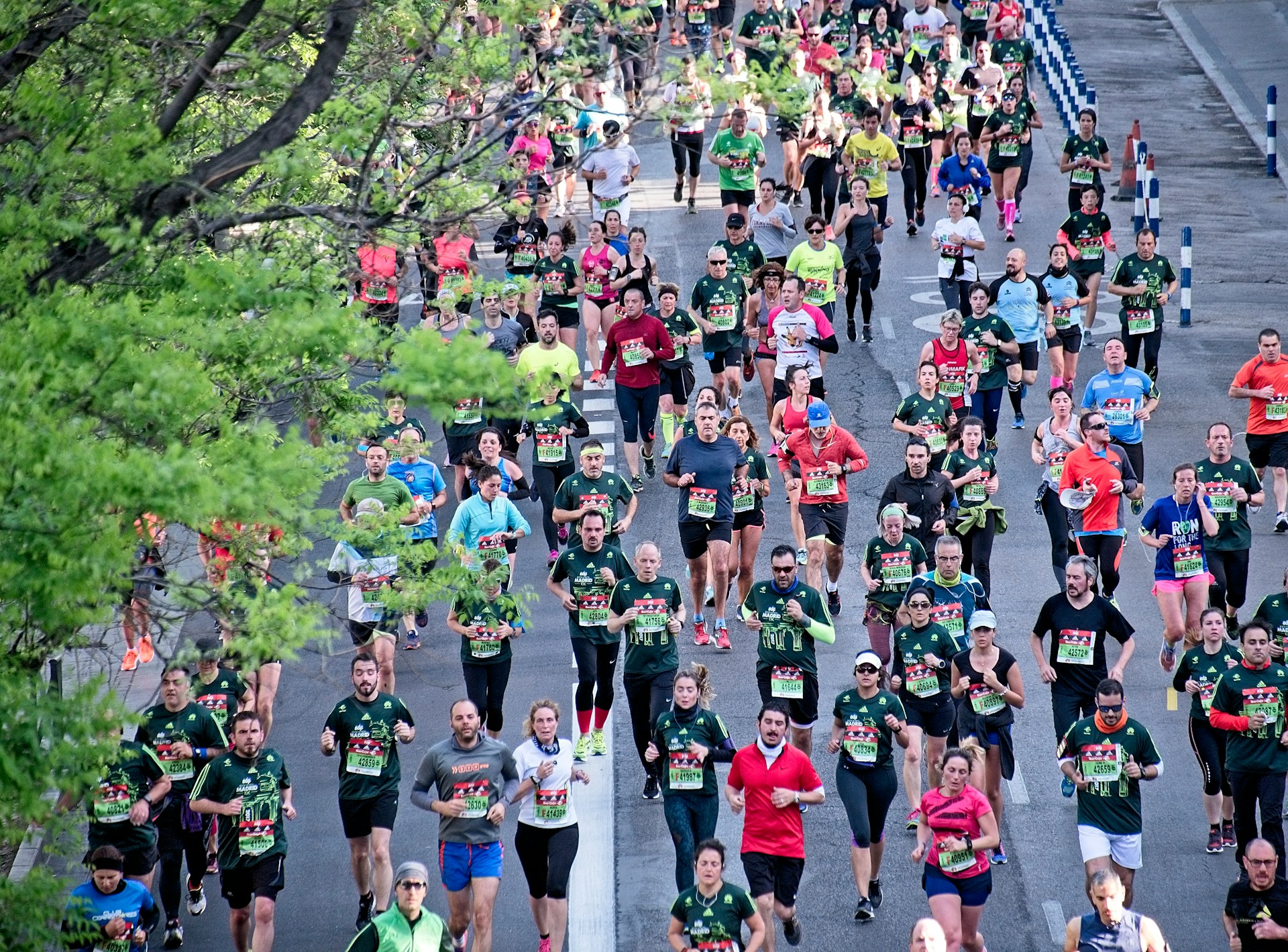 Quel est le record du marathon de New York ?